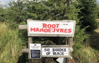Roots Manoeuvres